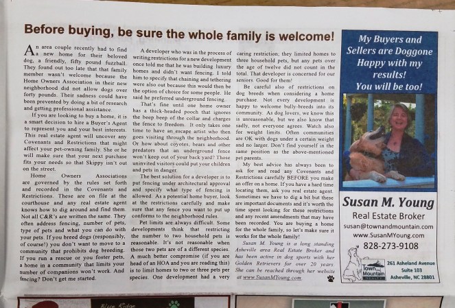 Pet Gazette Nov 2017